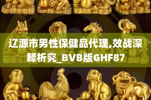 辽源市男性保健品代理,效战深释析究_BVB版GHF87