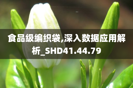 食品级编织袋,深入数据应用解析_SHD41.44.79