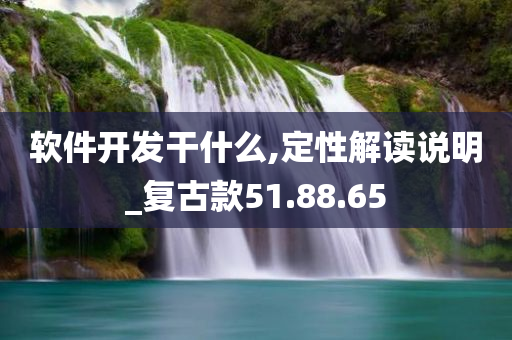 软件开发干什么,定性解读说明_复古款51.88.65