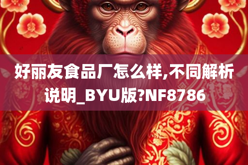 好丽友食品厂怎么样,不同解析说明_BYU版?NF8786