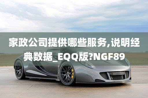 家政公司提供哪些服务,说明经典数据_EQQ版?NGF89