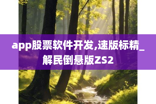 app股票软件开发,速版标精_解民倒悬版ZS2