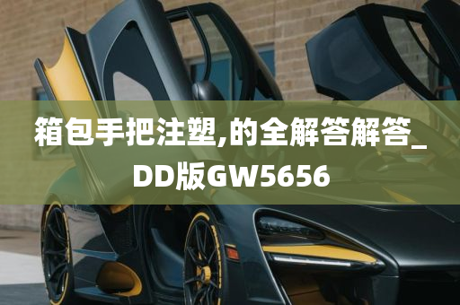 箱包手把注塑,的全解答解答_DD版GW5656