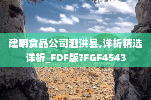 建明食品公司泗洪县,详析精选详析_FDF版?FGF4543