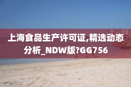 上海食品生产许可证,精选动态分析_NDW版?GG756