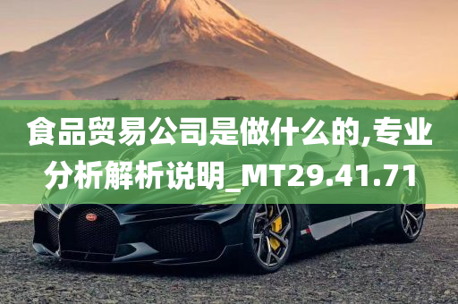 食品贸易公司是做什么的,专业分析解析说明_MT29.41.71