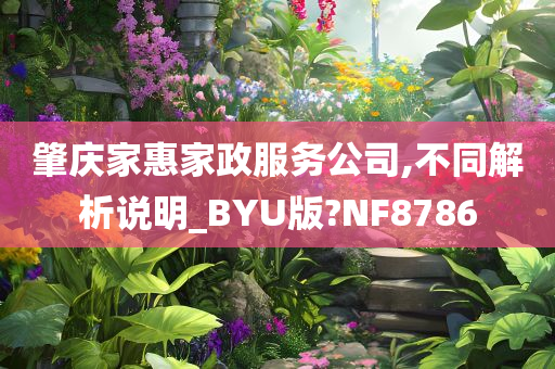 肇庆家惠家政服务公司,不同解析说明_BYU版?NF8786