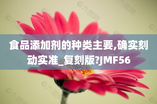 食品添加剂的种类主要,确实刻动实准_复刻版?JMF56