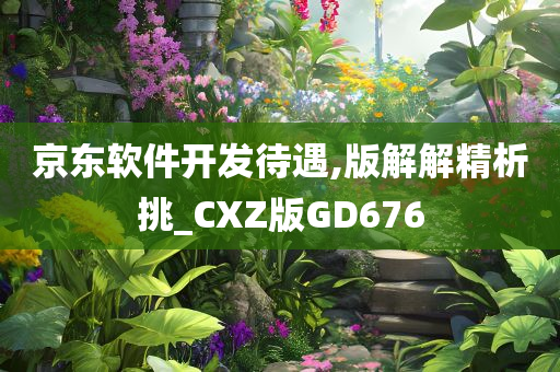 京东软件开发待遇,版解解精析挑_CXZ版GD676