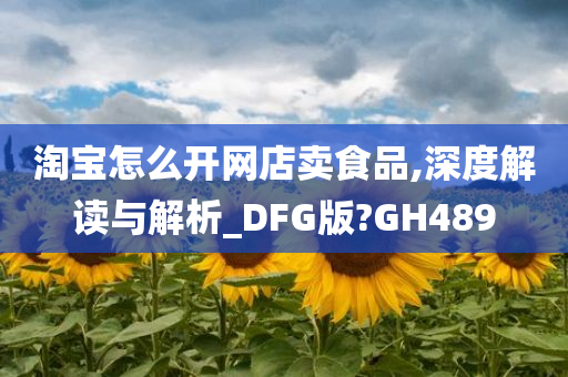 淘宝怎么开网店卖食品,深度解读与解析_DFG版?GH489