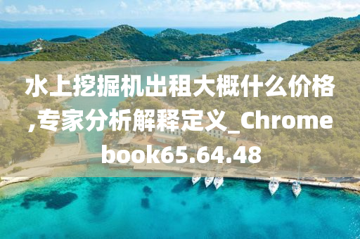 水上挖掘机出租大概什么价格,专家分析解释定义_Chromebook65.64.48