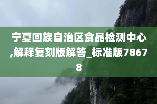 宁夏回族自治区食品检测中心,解释复刻版解答_标准版78678