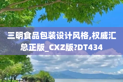 正版CXZ版