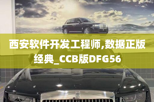 西安软件开发工程师,数据正版经典_CCB版DFG56