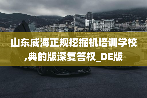 山东威海正规挖掘机培训学校,典的版深复答权_DE版