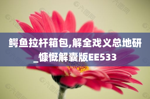 鳄鱼拉杆箱包,解全戏义总地研_慷慨解囊版EE533