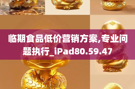 临期食品低价营销方案,专业问题执行_iPad80.59.47