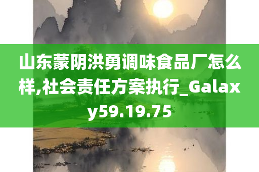 山东蒙阴洪勇调味食品厂怎么样,社会责任方案执行_Galaxy59.19.75