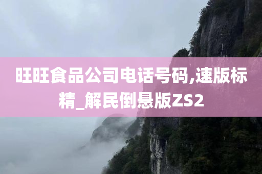 旺旺食品公司电话号码,速版标精_解民倒悬版ZS2