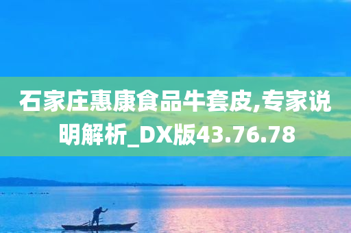 石家庄惠康食品牛套皮,专家说明解析_DX版43.76.78