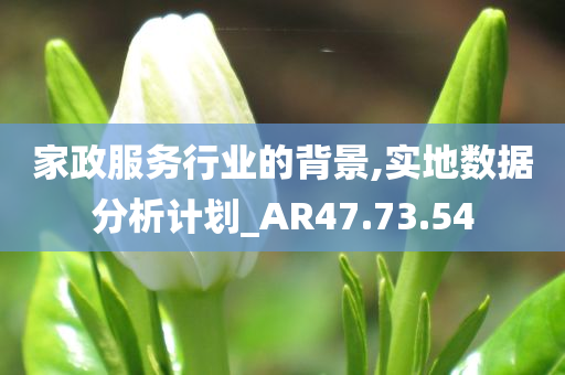 家政服务行业的背景,实地数据分析计划_AR47.73.54