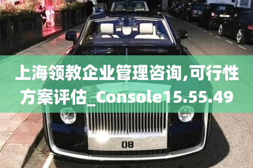 上海领教企业管理咨询,可行性方案评估_Console15.55.49