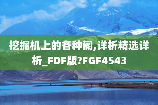 挖掘机上的各种阀,详析精选详析_FDF版?FGF4543