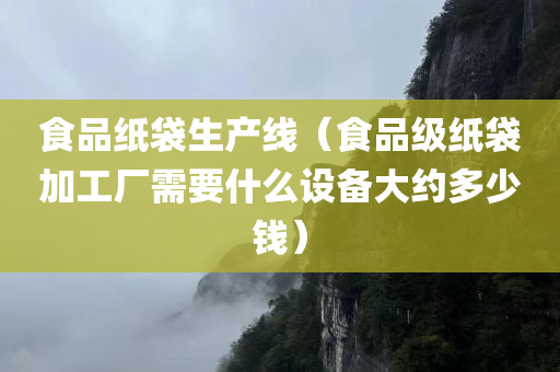 食品纸袋生产线（食品级纸袋加工厂需要什么设备大约多少钱）