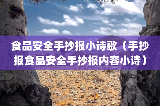 食品安全手抄报小诗歌（手抄报食品安全手抄报内容小诗）