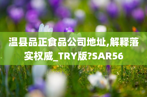 温县品正食品公司地址,解释落实权威_TRY版?SAR56