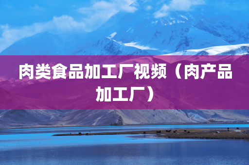 肉类食品加工厂视频（肉产品加工厂）