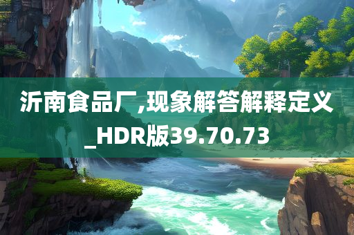 沂南食品厂,现象解答解释定义_HDR版39.70.73