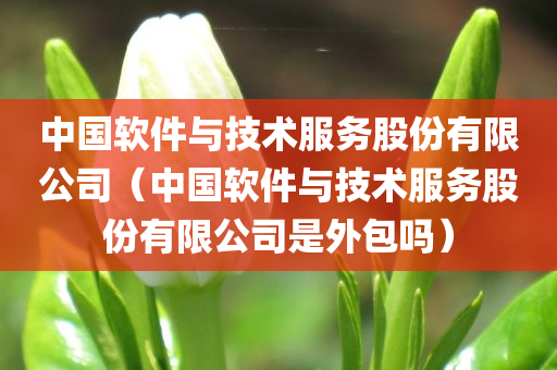 中国软件与技术服务股份有限公司（中国软件与技术服务股份有限公司是外包吗）