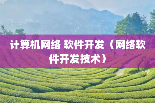 计算机网络 软件开发（网络软件开发技术）