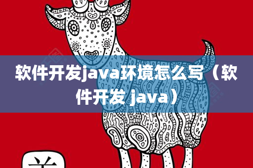 软件开发java环境怎么写（软件开发 java）