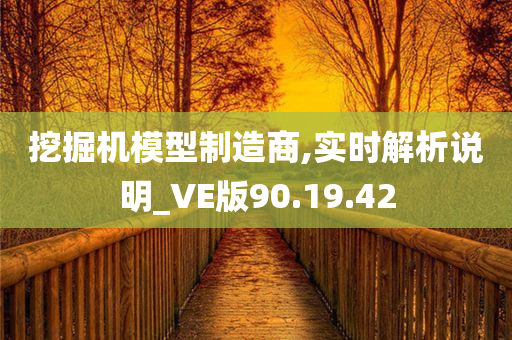 挖掘机模型制造商,实时解析说明_VE版90.19.42