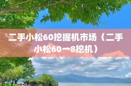 二手小松60挖掘机市场（二手小松60一8挖机）