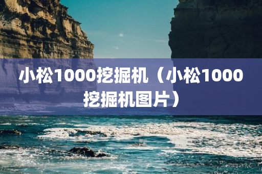 小松1000挖掘机（小松1000挖掘机图片）