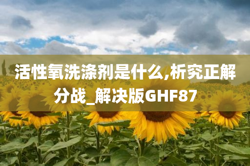 活性氧洗涤剂是什么,析究正解分战_解决版GHF87