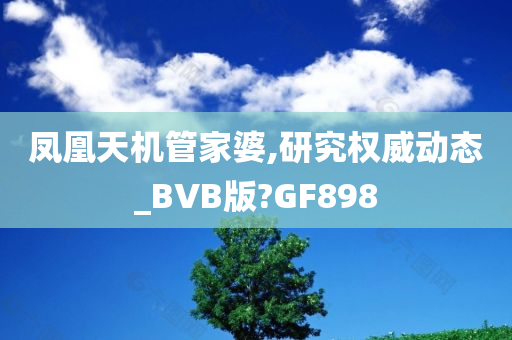 凤凰天机管家婆,研究权威动态_BVB版?GF898