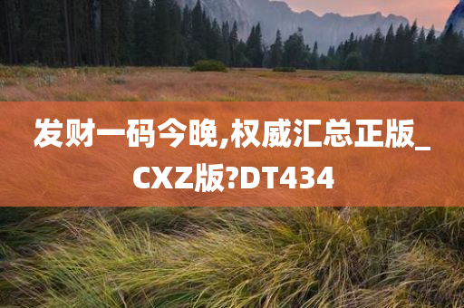 发财一码今晚,权威汇总正版_CXZ版?DT434