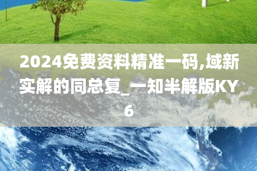 2024免费资料精准一码,域新实解的同总复_一知半解版KY6