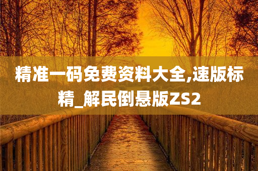 精准一码免费资料大全,速版标精_解民倒悬版ZS2