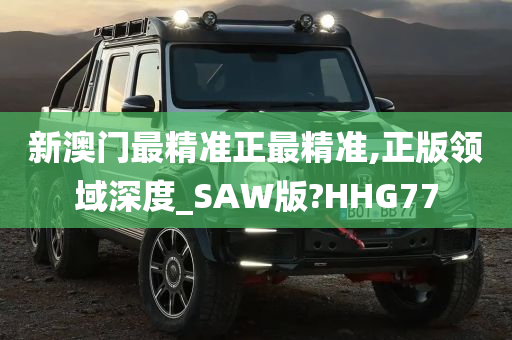 新澳门最精准正最精准,正版领域深度_SAW版?HHG77