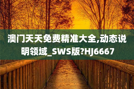 澳门天天免费精准大全,动态说明领域_SWS版?HJ6667