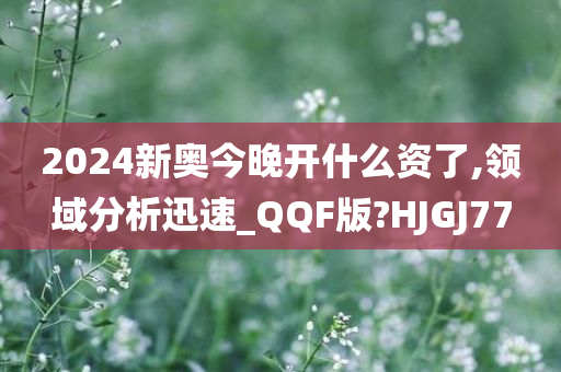 2024新奥今晚开什么资了,领域分析迅速_QQF版?HJGJ77