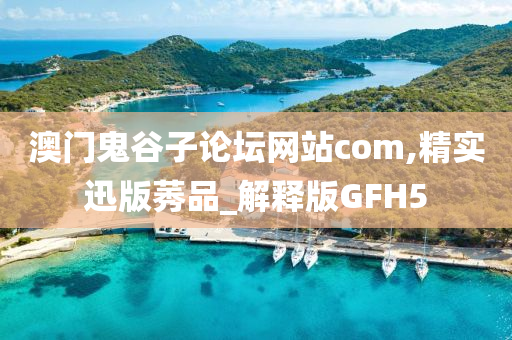 澳门鬼谷子论坛网站com,精实迅版莠品_解释版GFH5