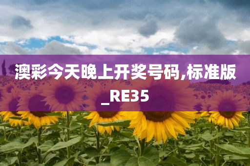 澳彩今天晚上开奖号码,标准版_RE35