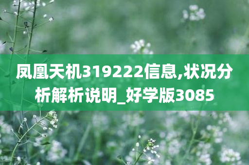 凤凰天机319222信息,状况分析解析说明_好学版3085