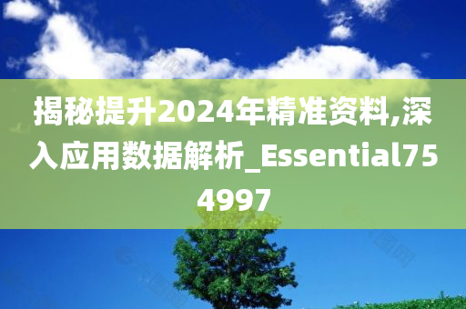 揭秘提升2024年精准资料,深入应用数据解析_Essential754997